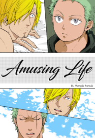 Amusing Life cover
